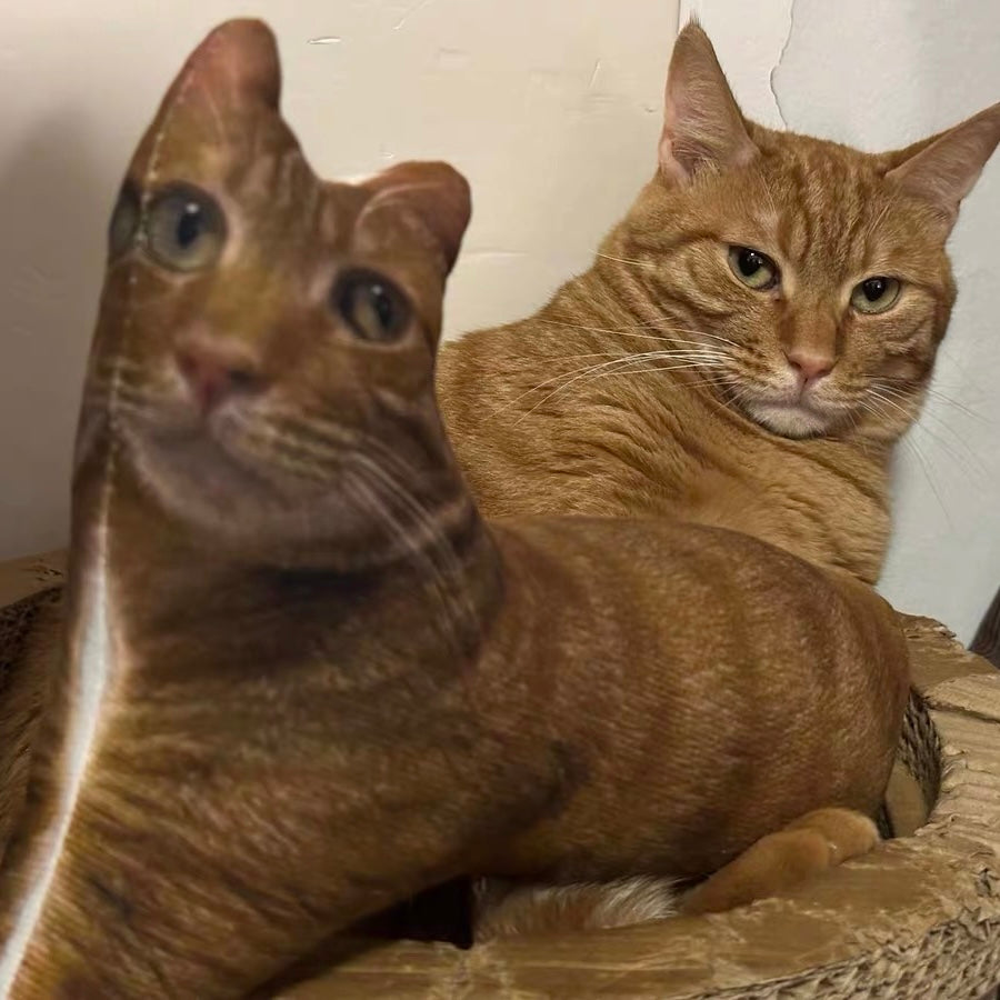 The Funny Custom Pillow That Looks Like Your Pet