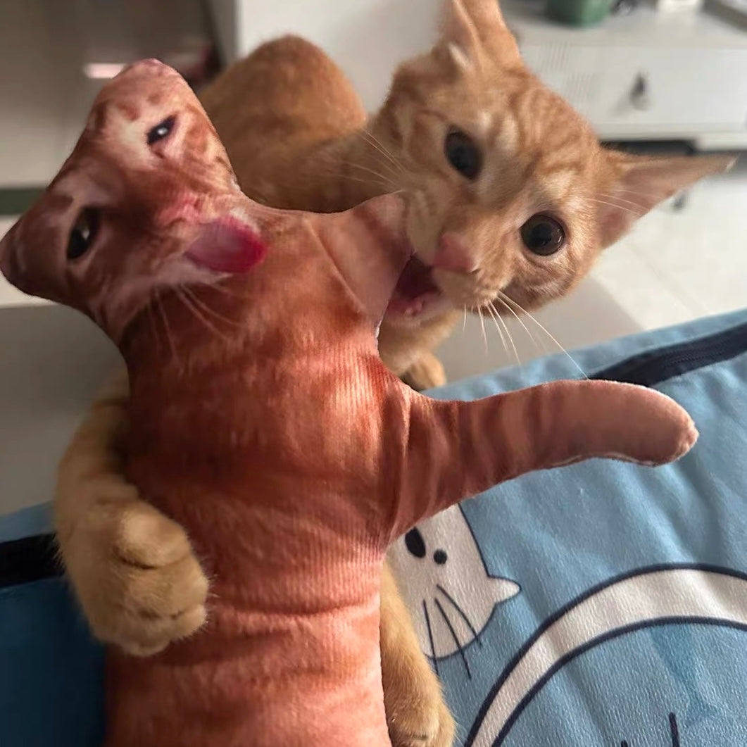 The Funny Custom Pillow That Looks Like Your Pet