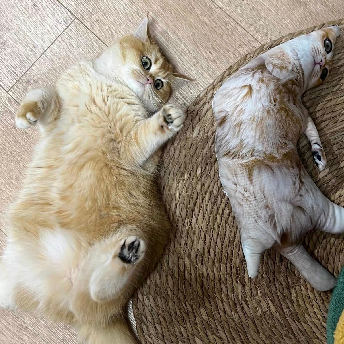 The Funny Custom Pillow That Looks Like Your Pet