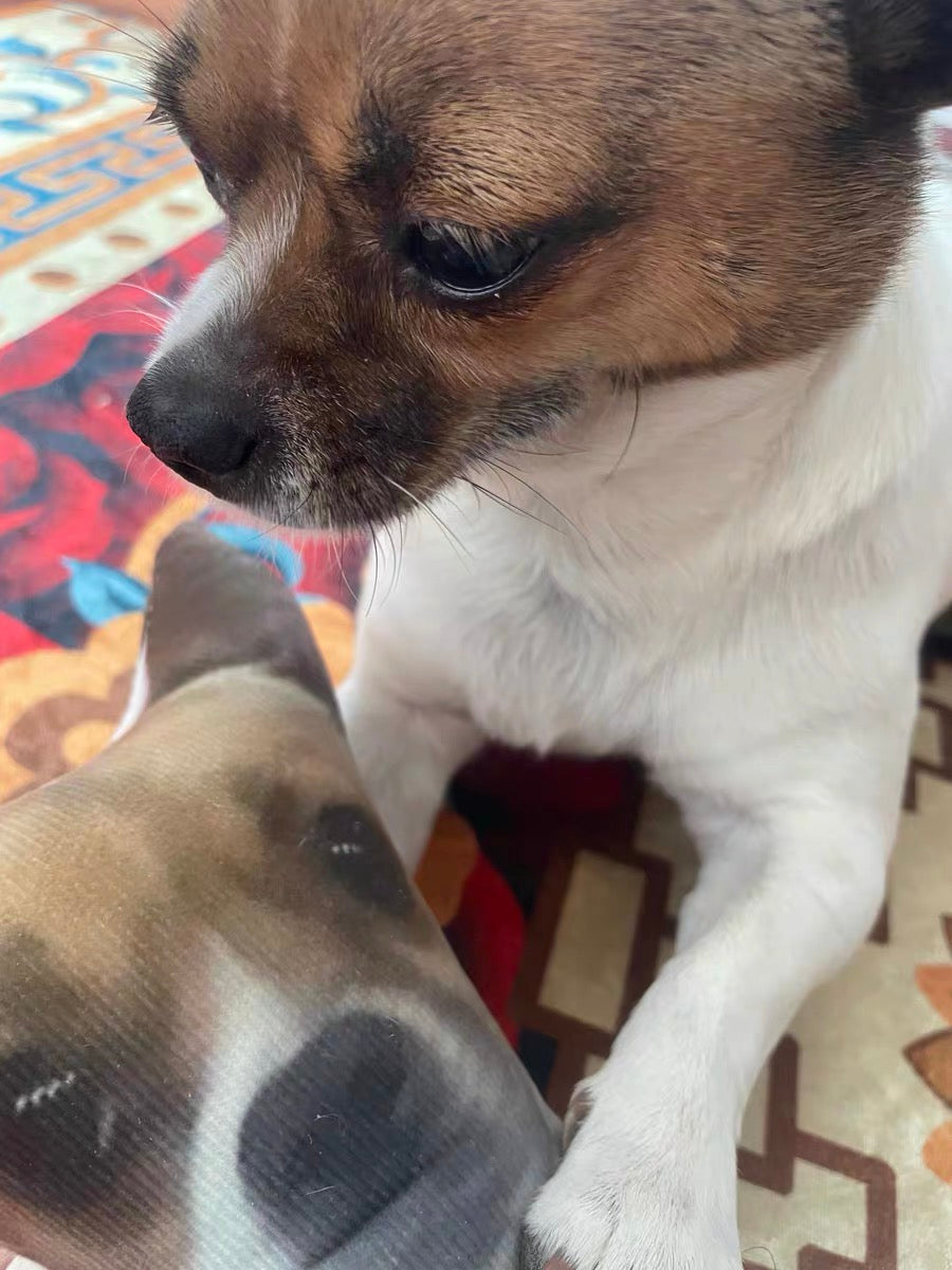 The Funny Custom Pillow That Looks Like Your Pet